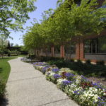 Colonial Williamsburg Woodlands Hotel